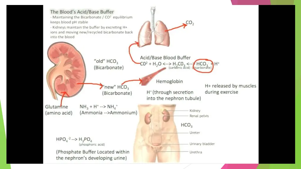 slide36