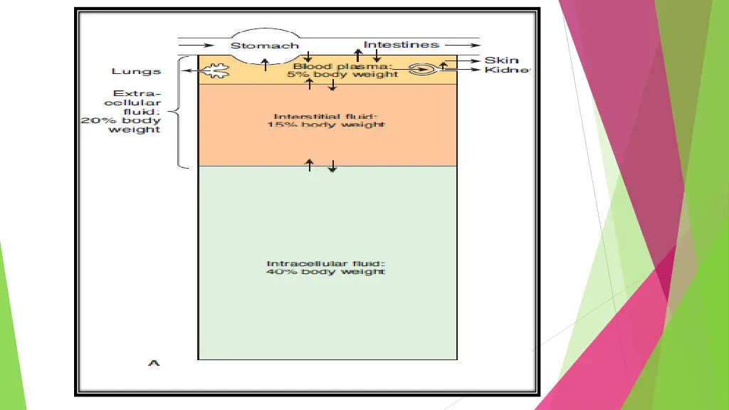 slide8
