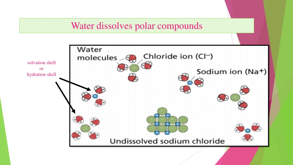 water dissolves polar compounds