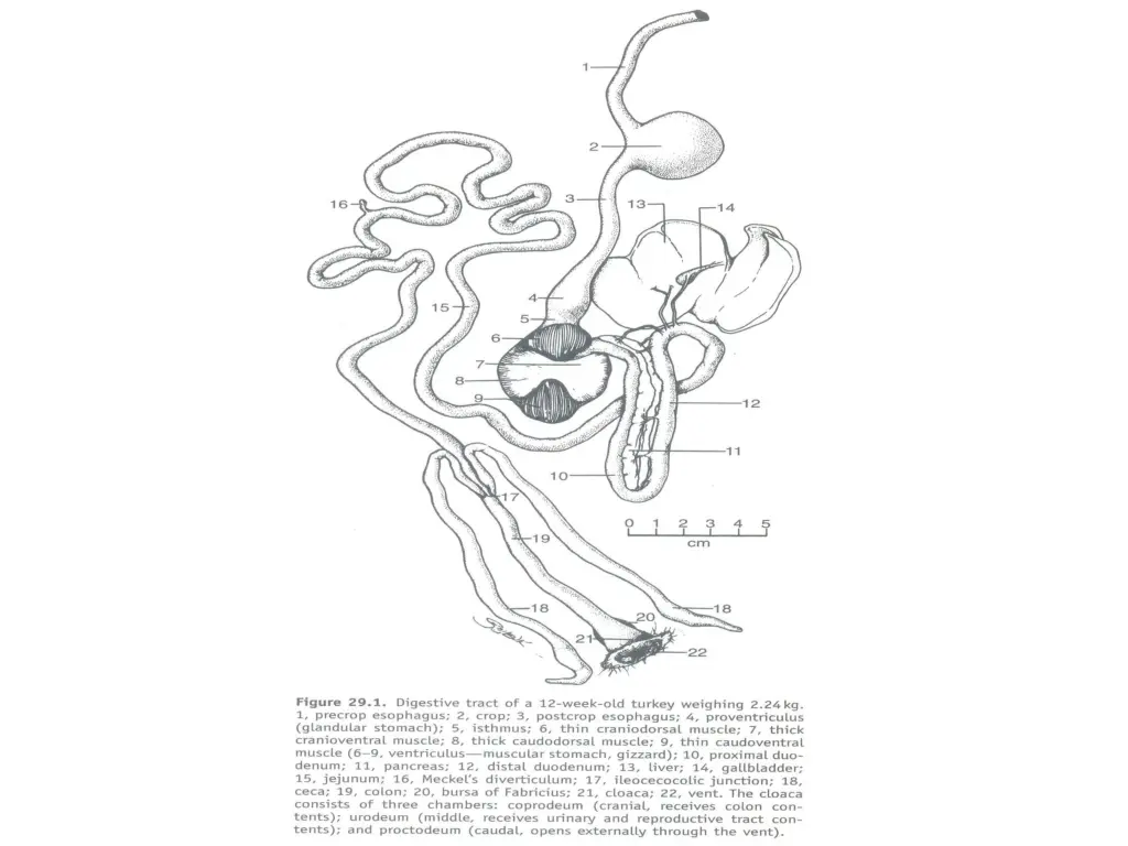 slide3