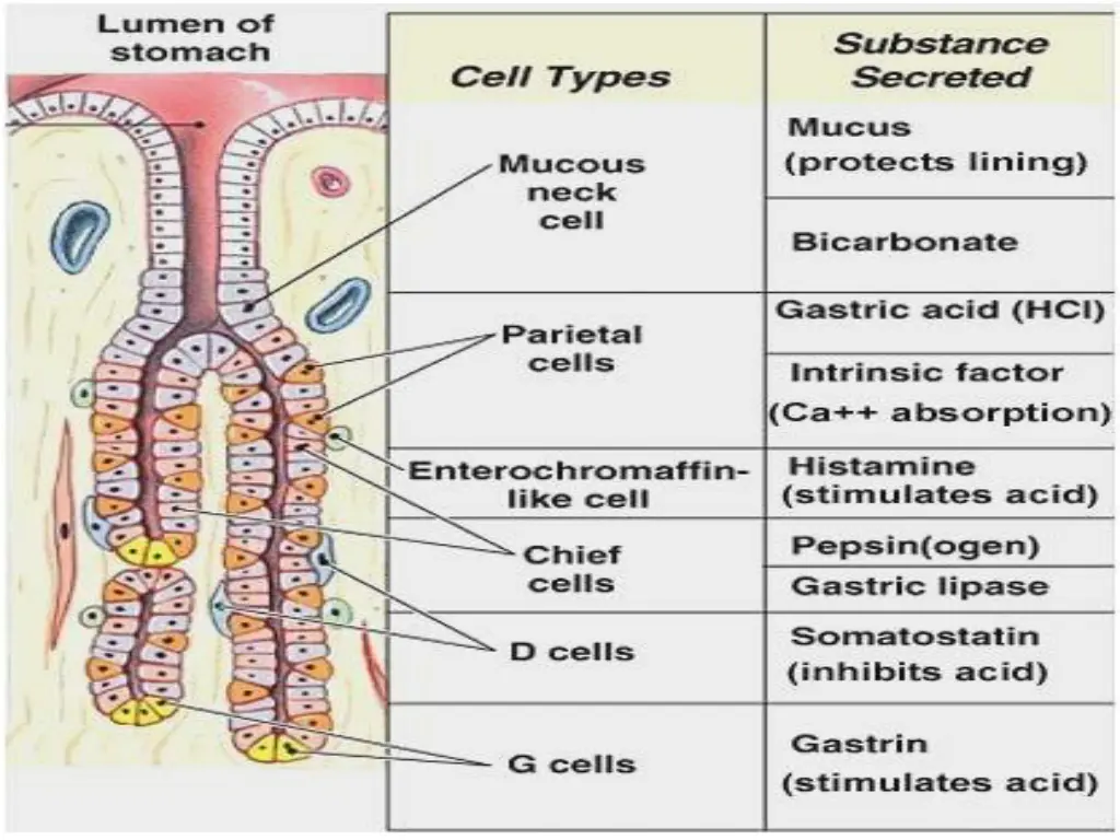 slide8