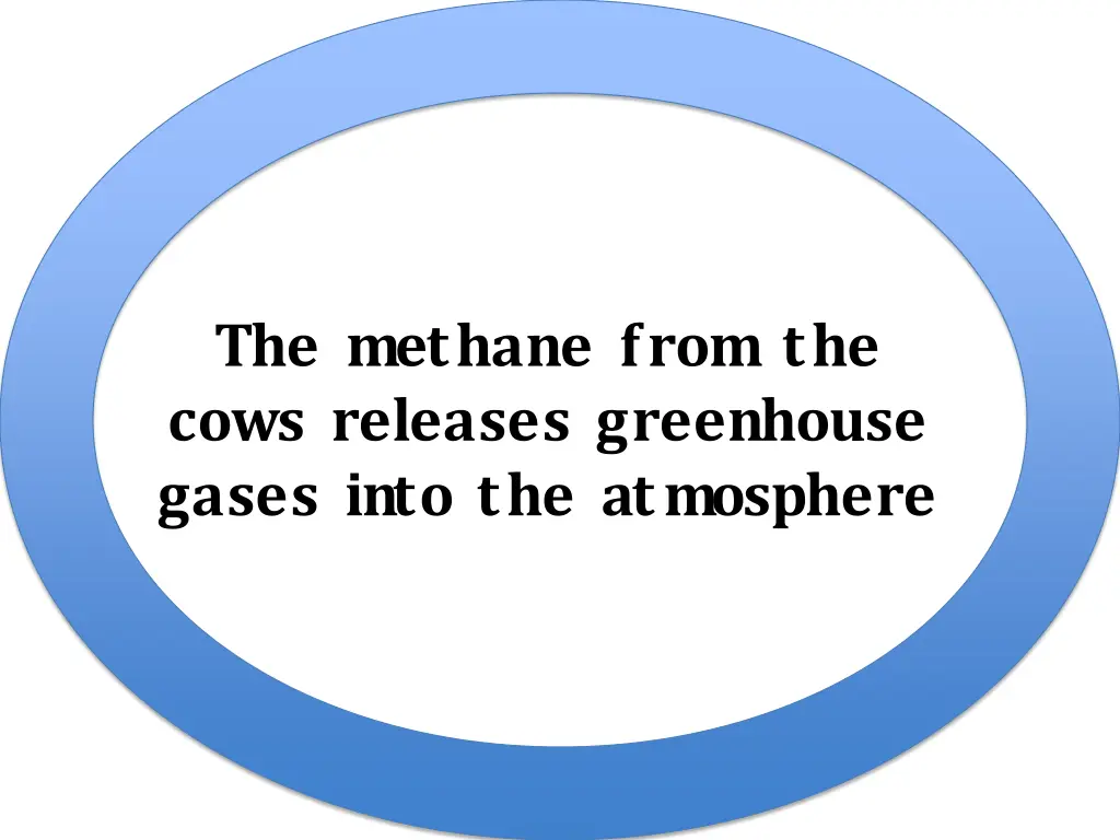 the methane from the cows releases greenhouse