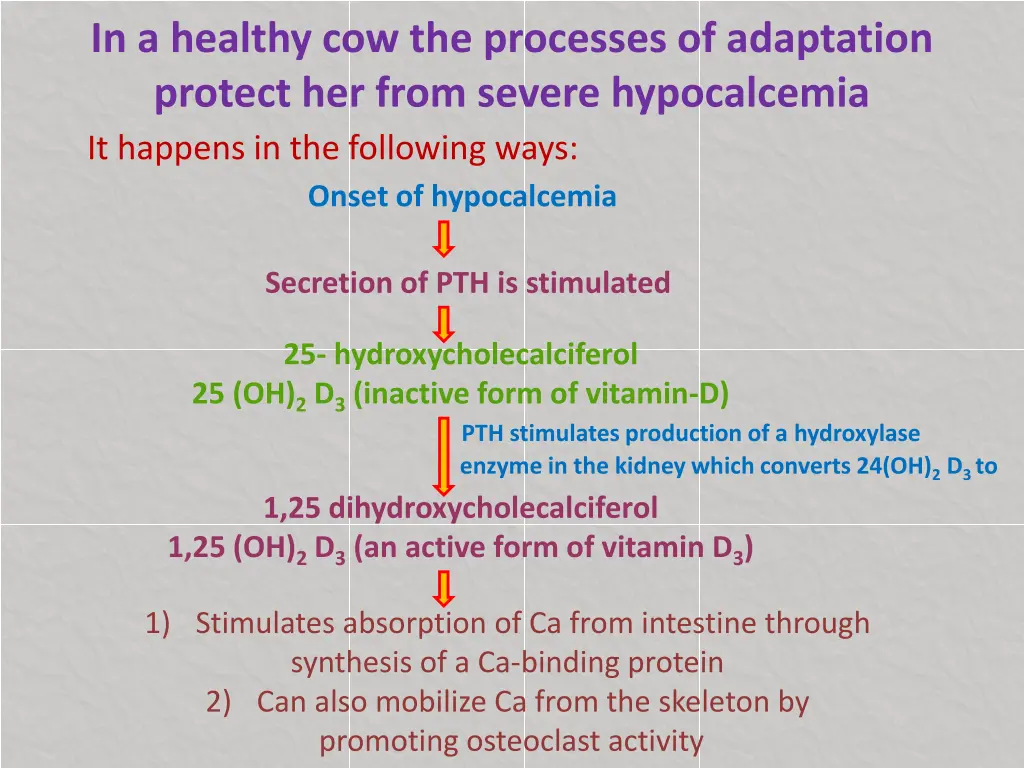 in a healthy cow the processes of adaptation