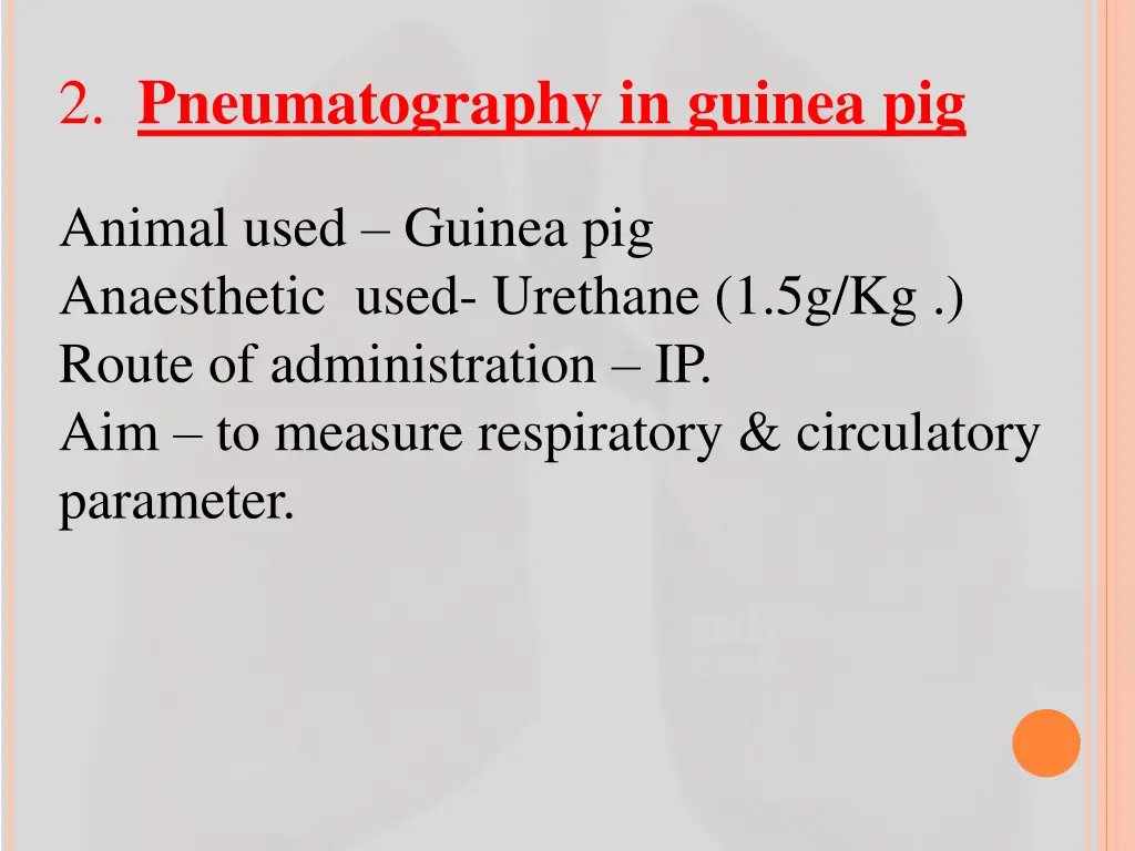 2 pneumatography in guinea pig
