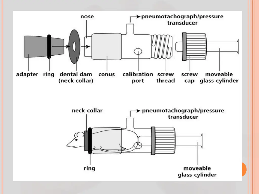 slide15