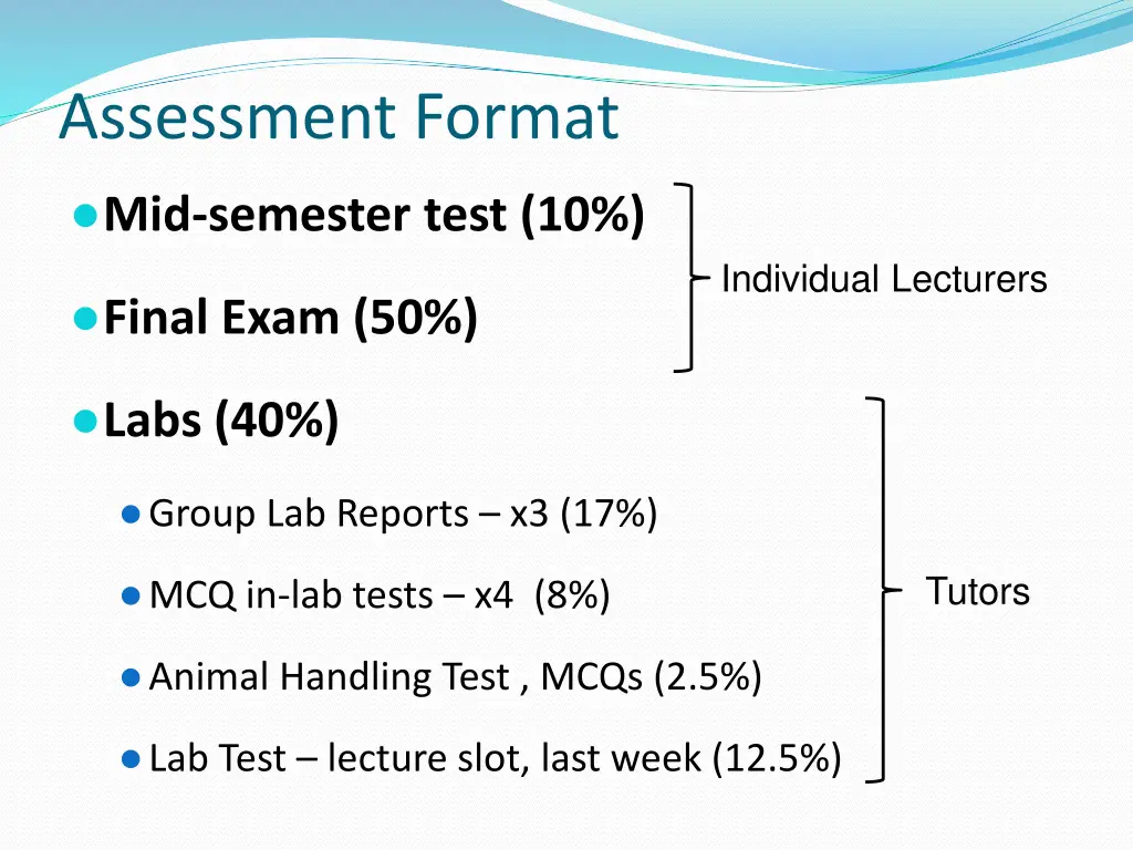 assessment format