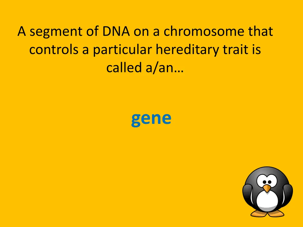 a segment of dna on a chromosome that controls