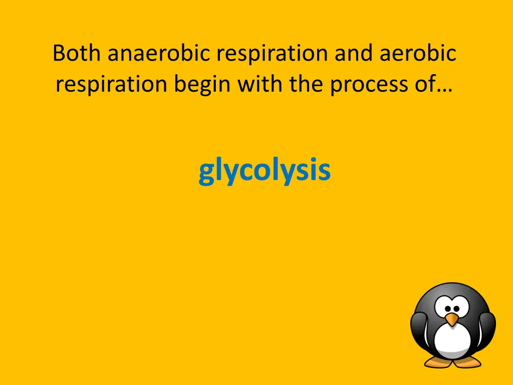both anaerobic respiration and aerobic