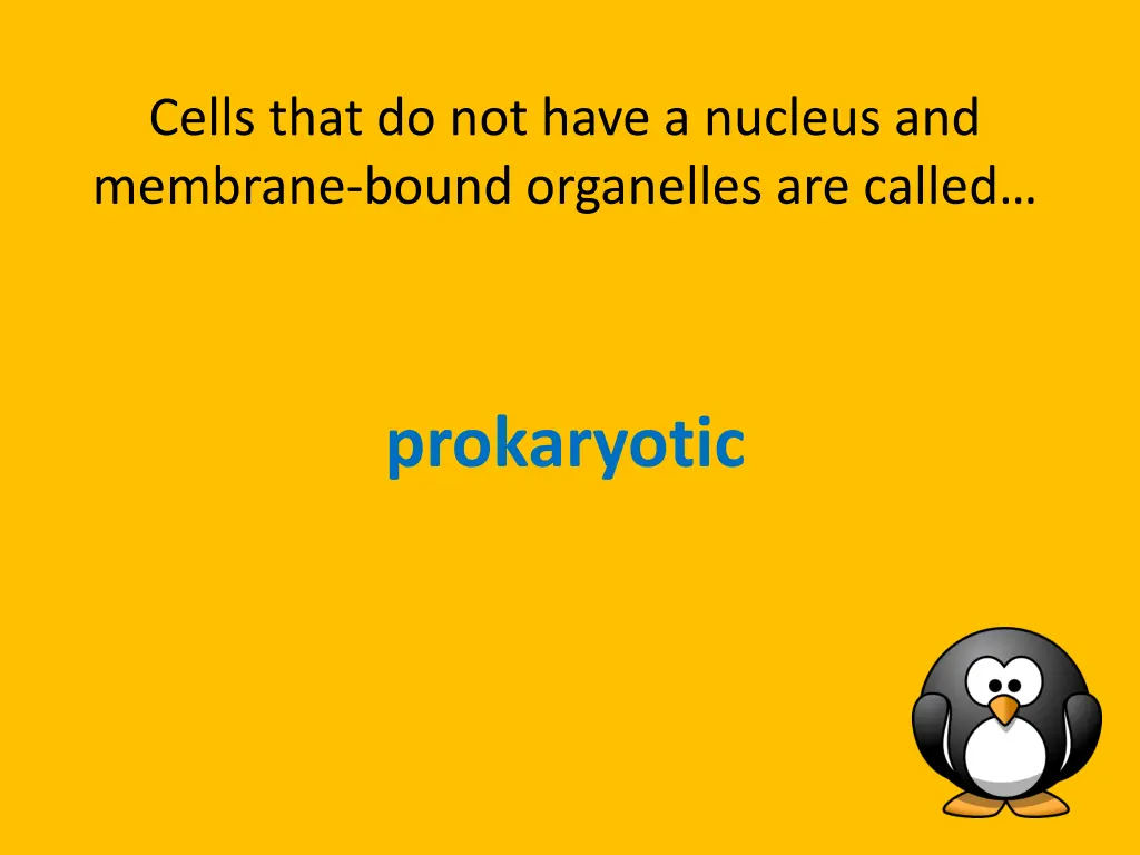 cells that do not have a nucleus and membrane