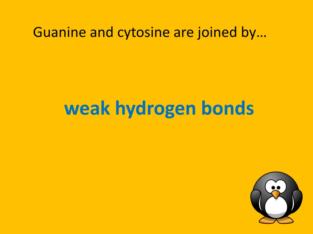 guanine and cytosine are joined by