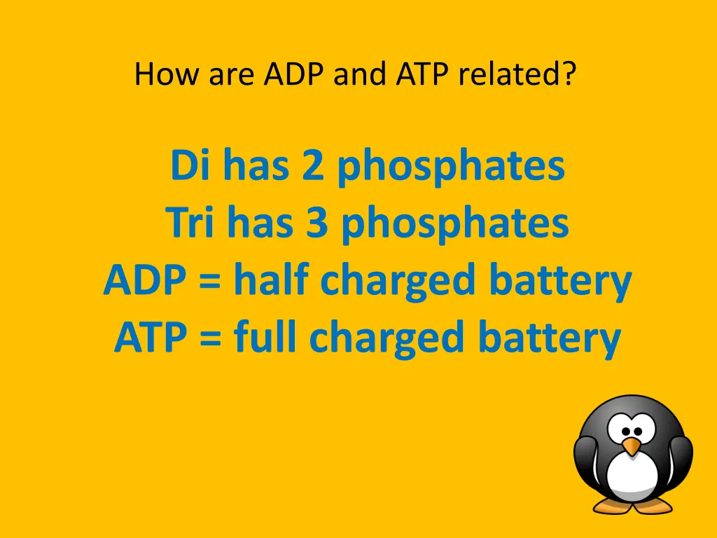 how are adp and atp related