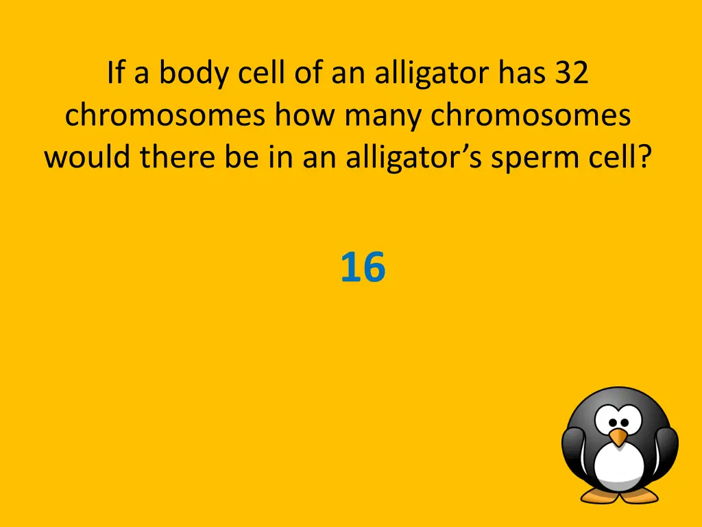 if a body cell of an alligator has 32 chromosomes