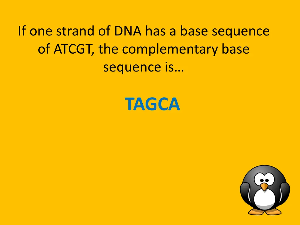 if one strand of dna has a base sequence of atcgt