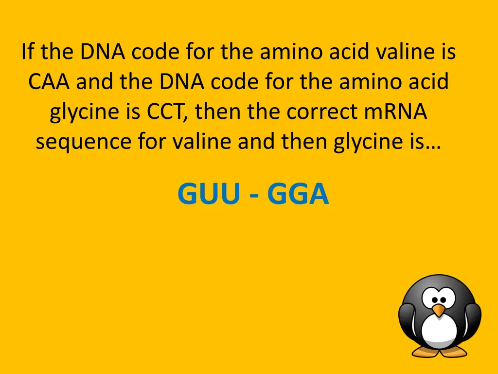 if the dna code for the amino acid valine
