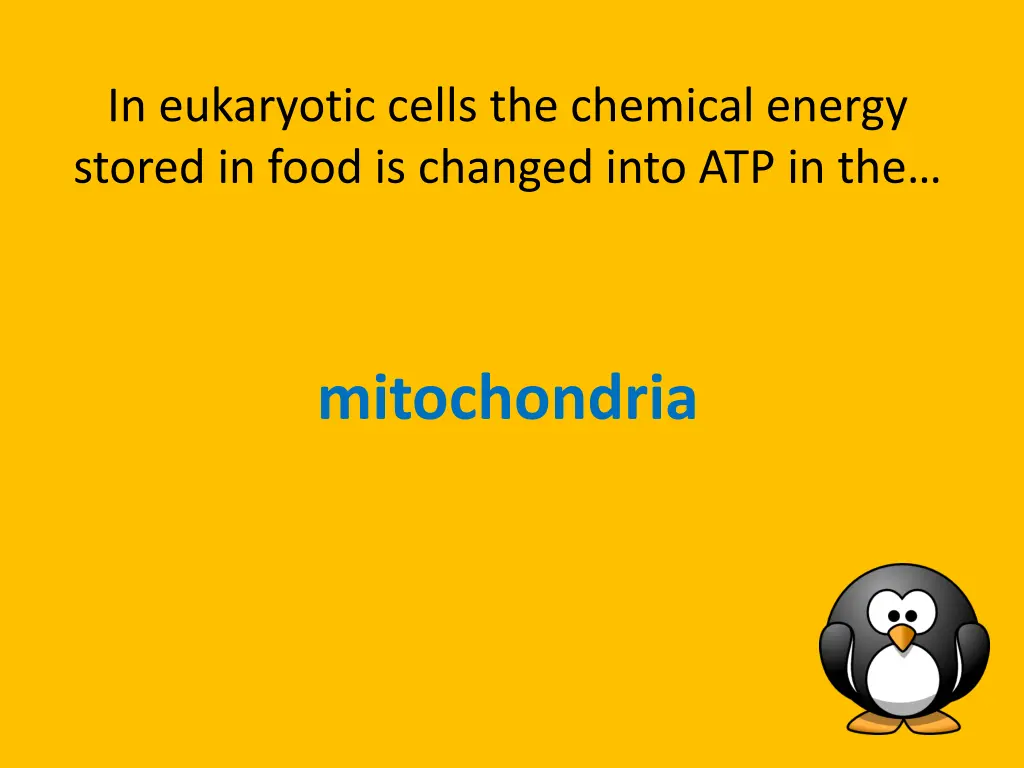 in eukaryotic cells the chemical energy stored