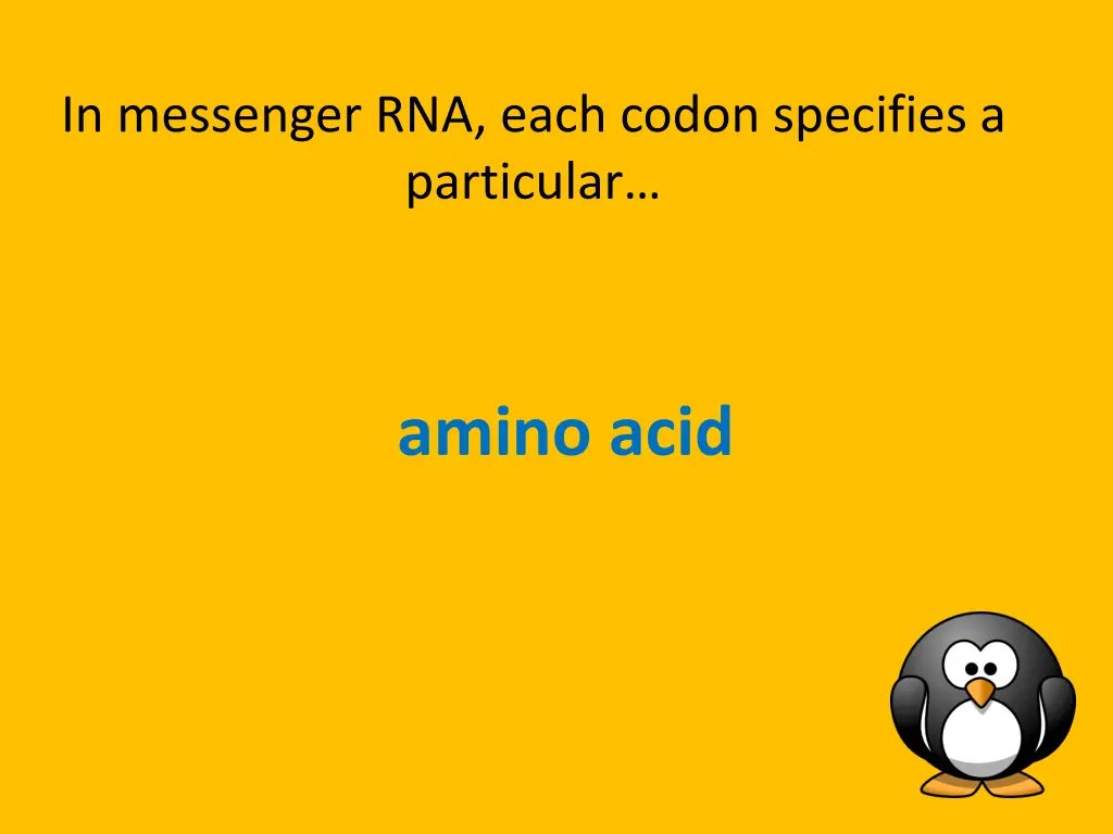 in messenger rna each codon specifies a particular