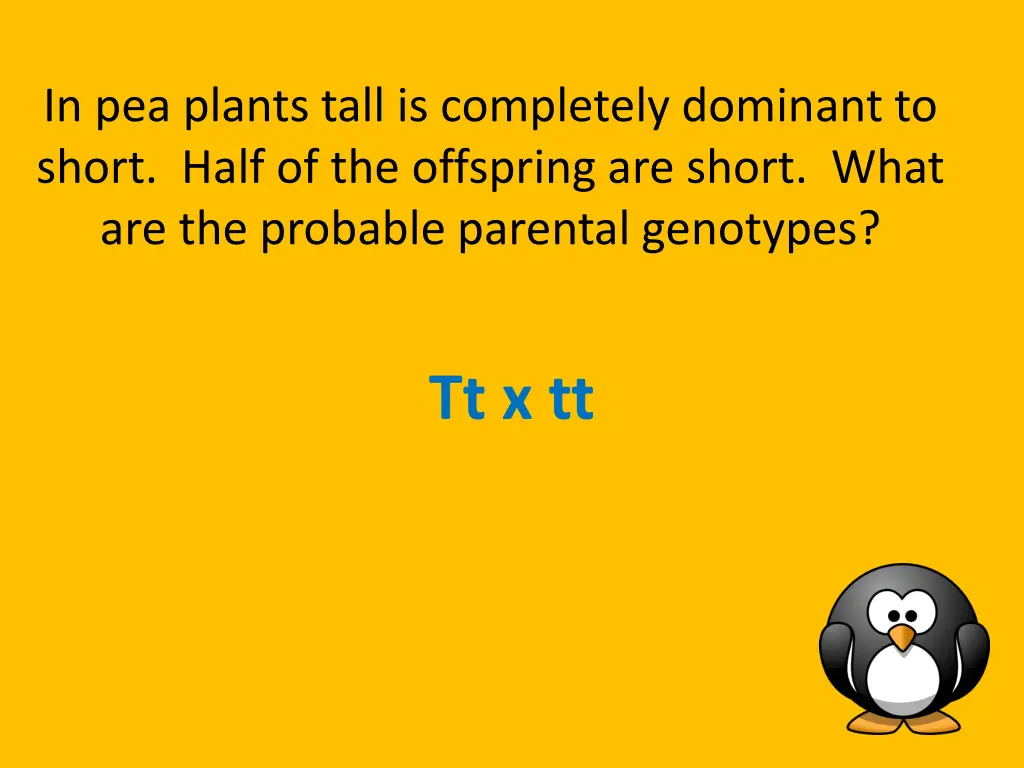 in pea plants tall is completely dominant