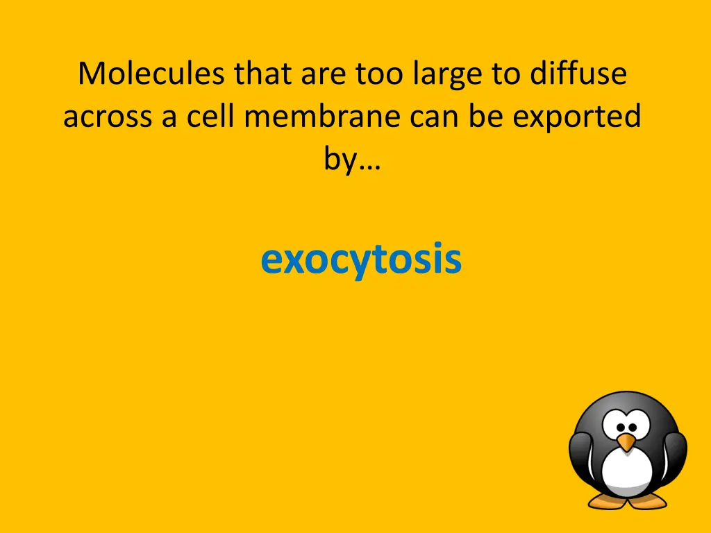 molecules that are too large to diffuse across