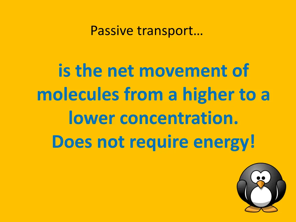 passive transport
