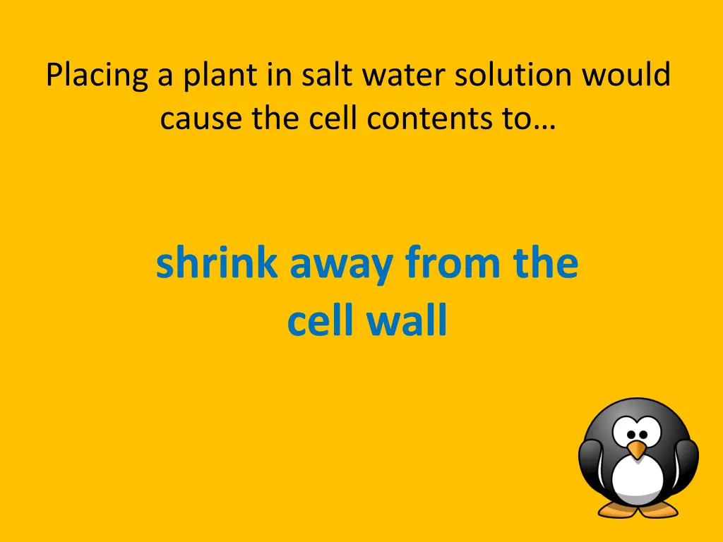 placing a plant in salt water solution would