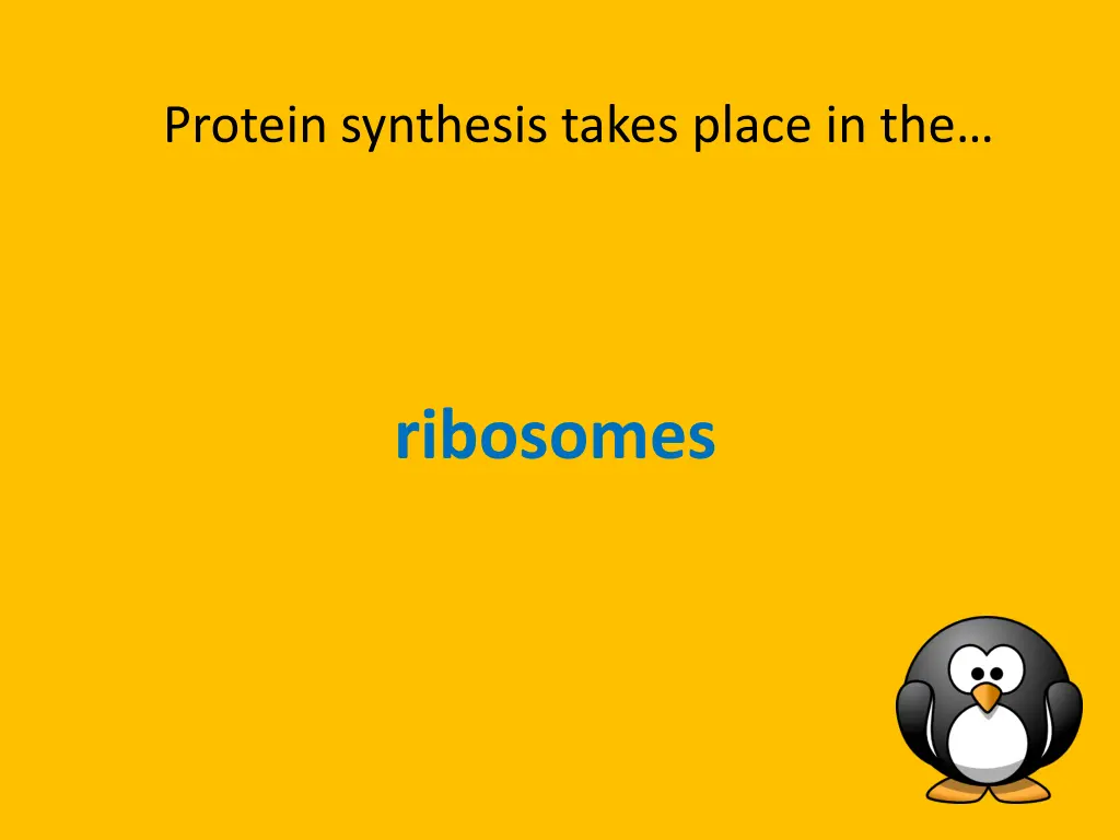 protein synthesis takes place in the