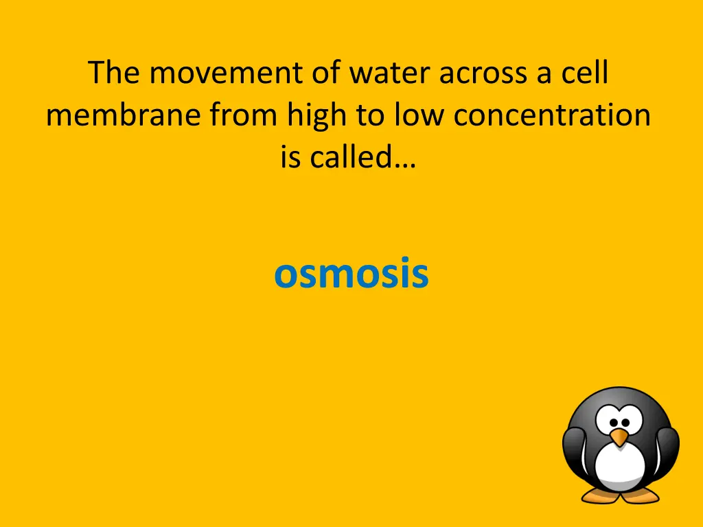 the movement of water across a cell membrane from