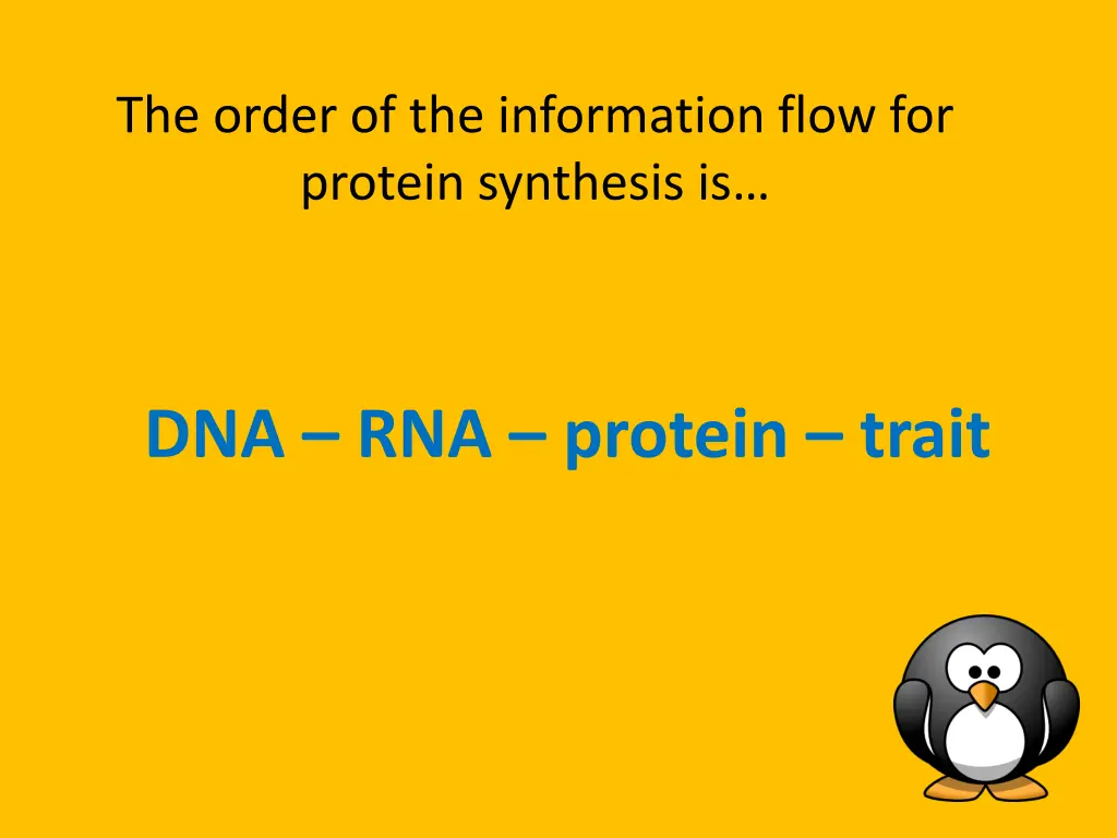 the order of the information flow for protein