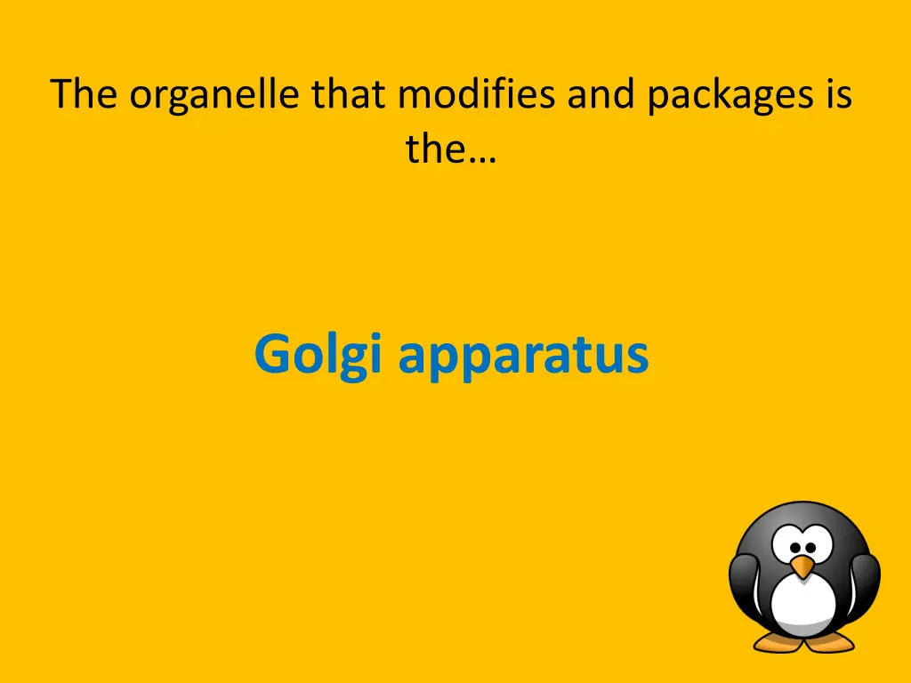 the organelle that modifies and packages is the