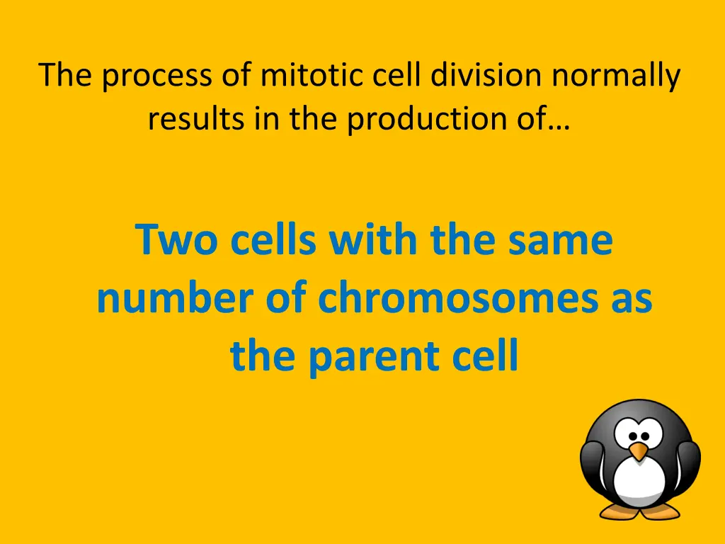 the process of mitotic cell division normally