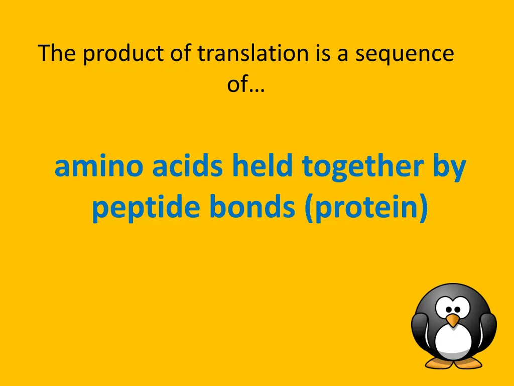 the product of translation is a sequence of
