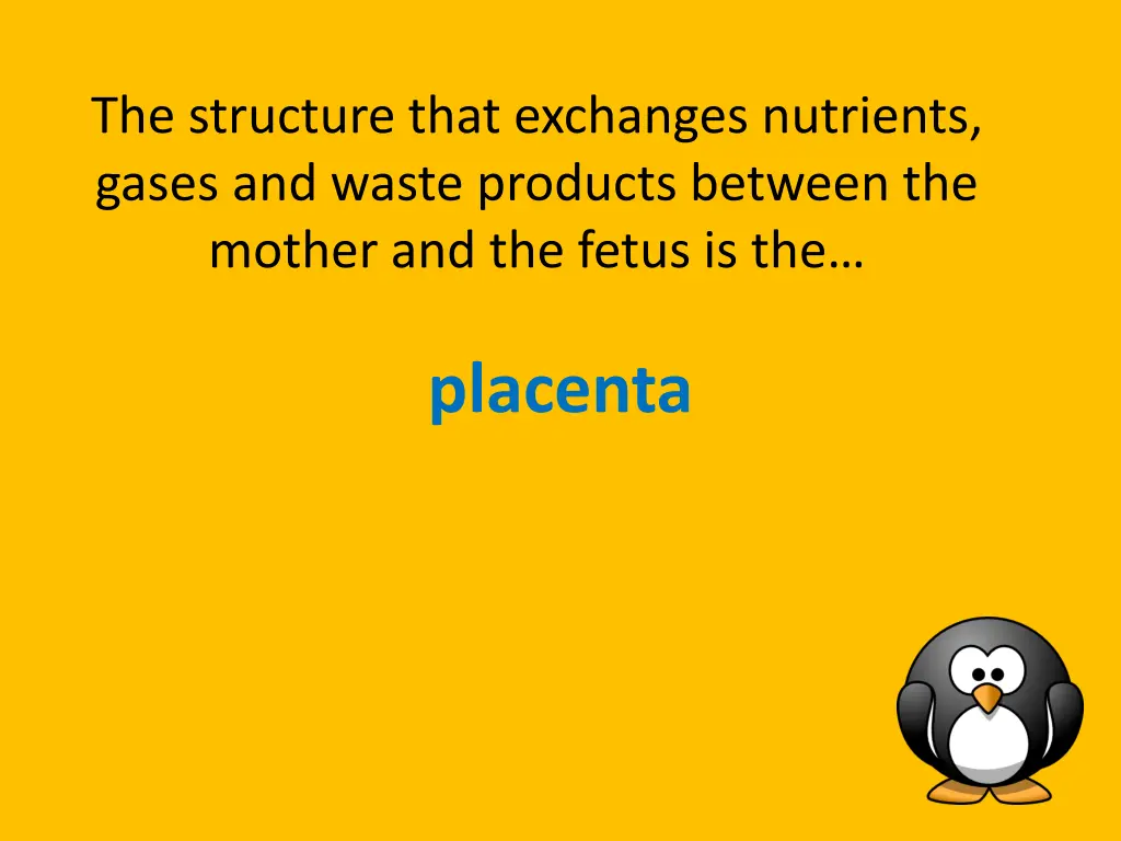 the structure that exchanges nutrients gases