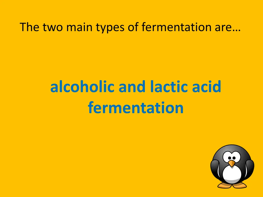 the two main types of fermentation are