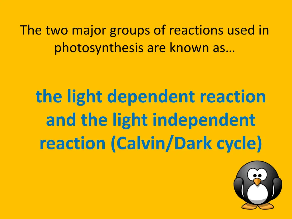 the two major groups of reactions used