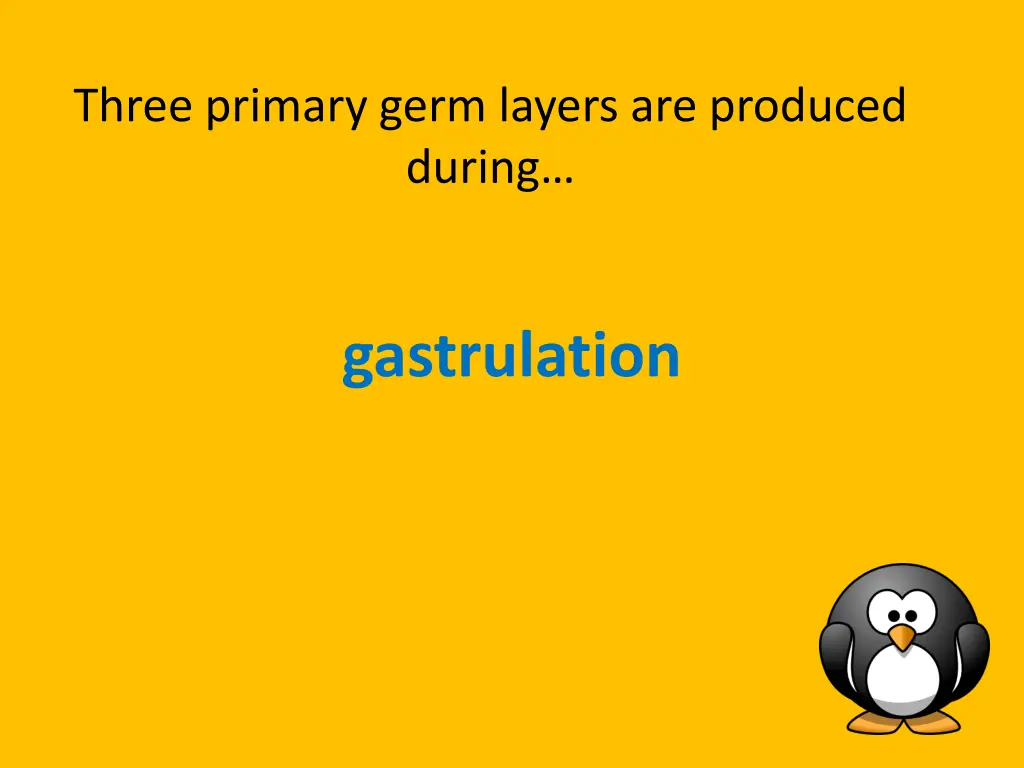 three primary germ layers are produced during