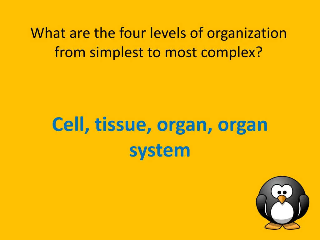 what are the four levels of organization from