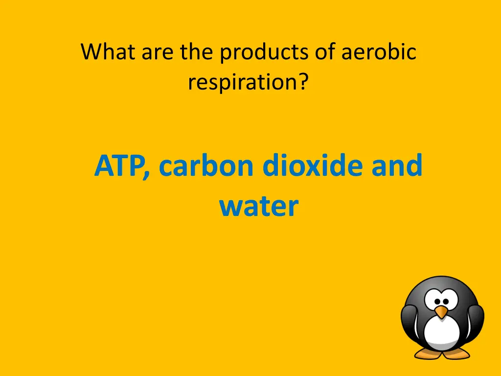 what are the products of aerobic respiration