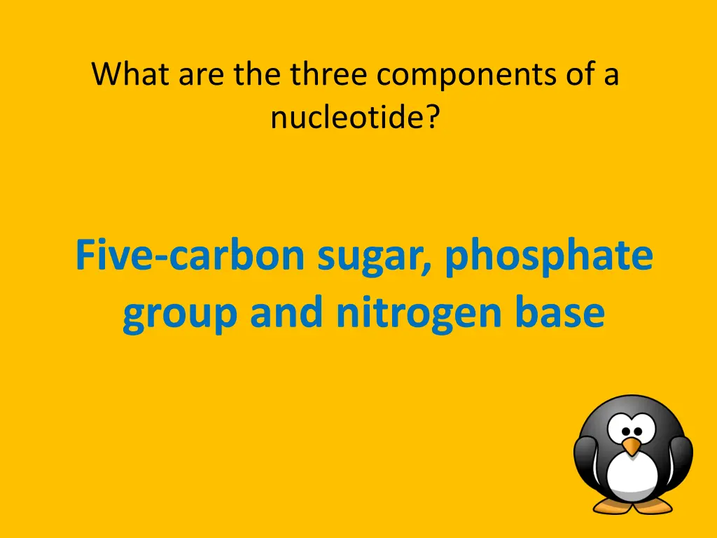what are the three components of a nucleotide