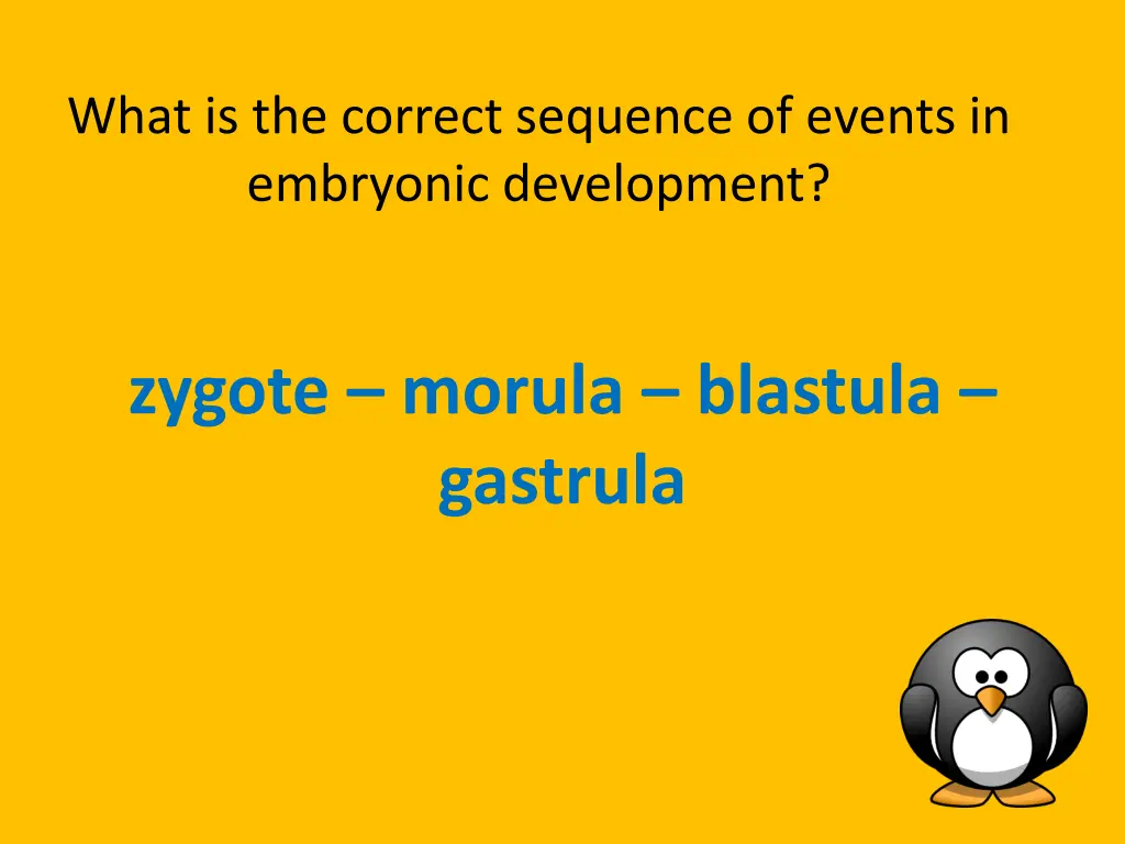 what is the correct sequence of events