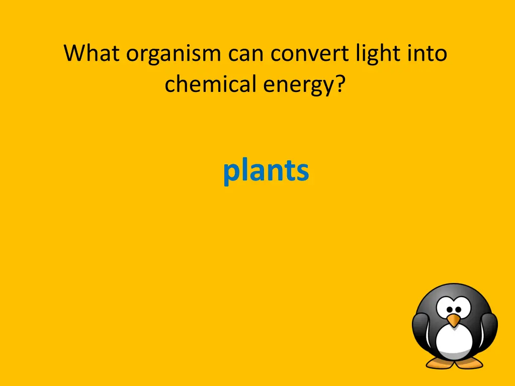 what organism can convert light into chemical