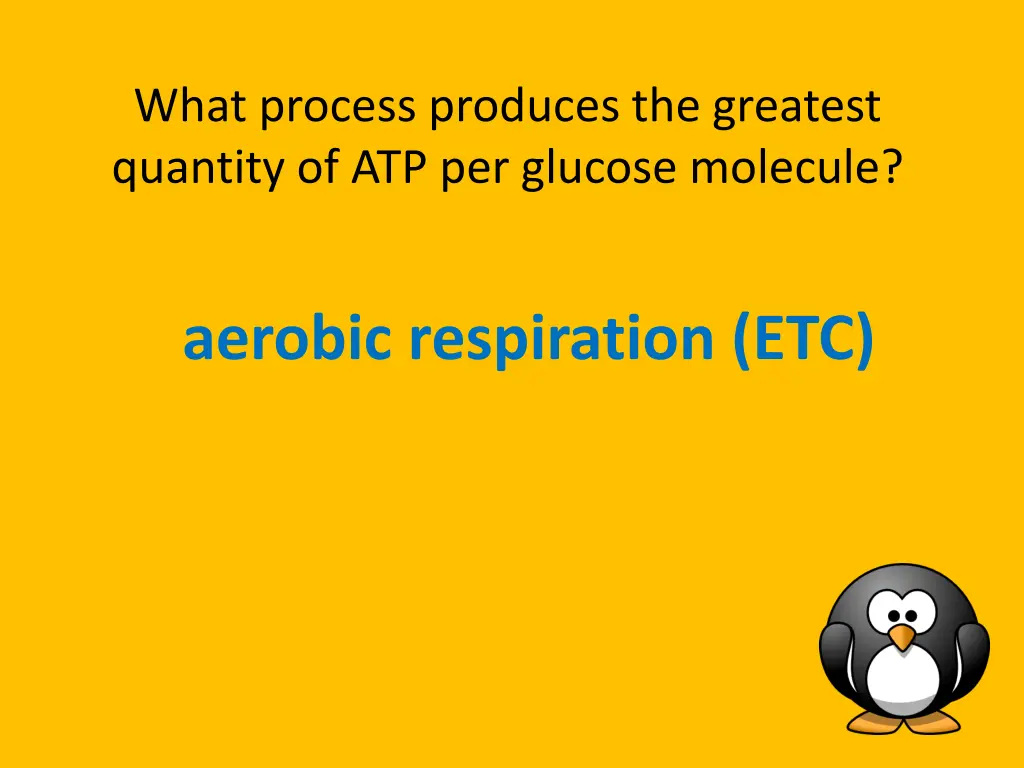 what process produces the greatest quantity