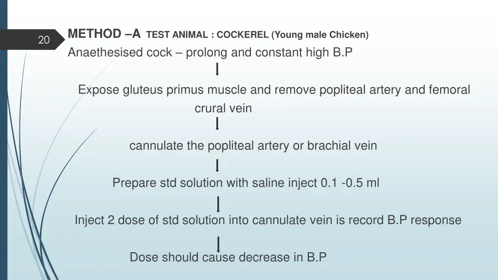 method a test animal cockerel young male chicken