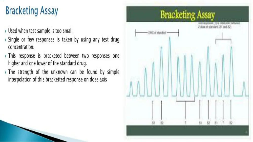 slide12