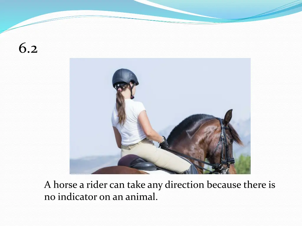 slide8