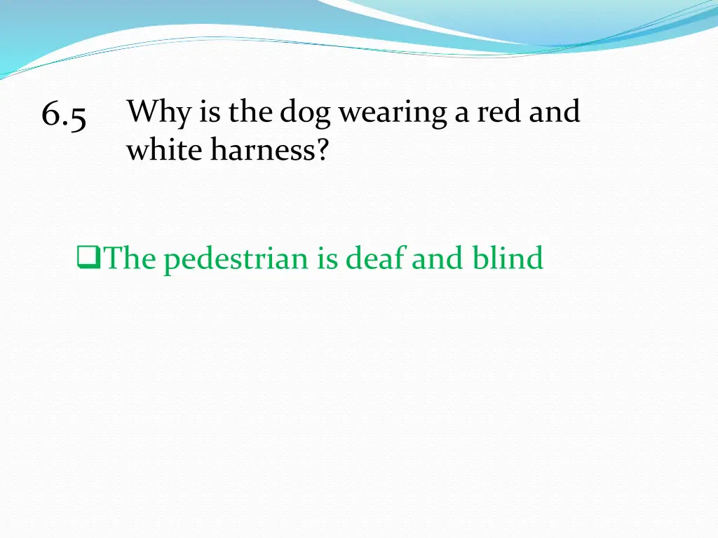 why is the dog wearing a red and white harness 1