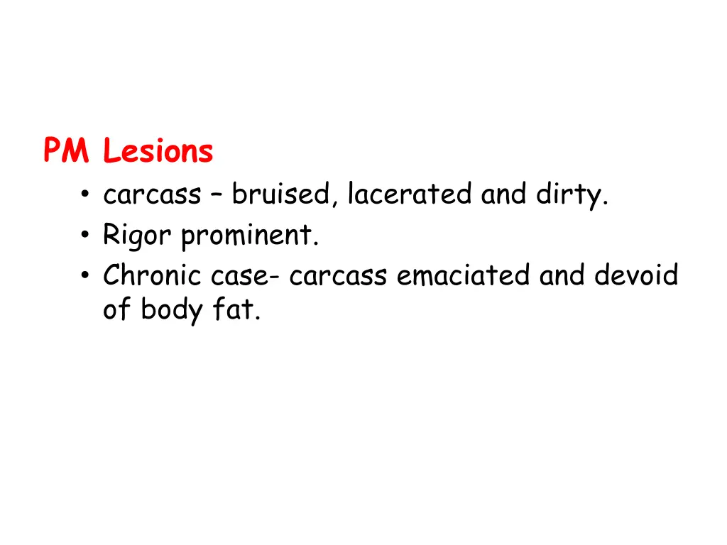 pm lesions carcass bruised lacerated and dirty