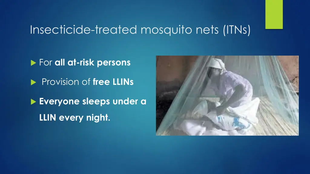 insecticide treated mosquito nets itns