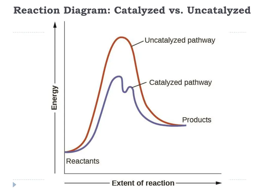 reaction diagram catalyzed vs uncatalyzed 1