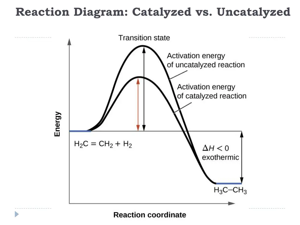 reaction diagram catalyzed vs uncatalyzed