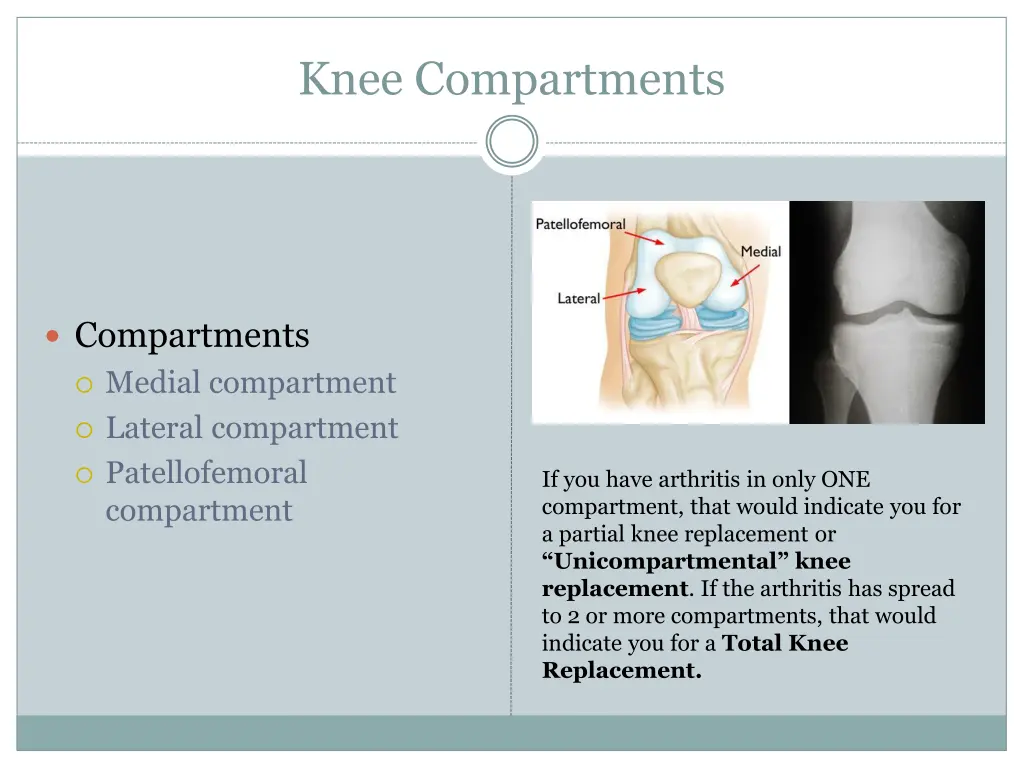 knee compartments