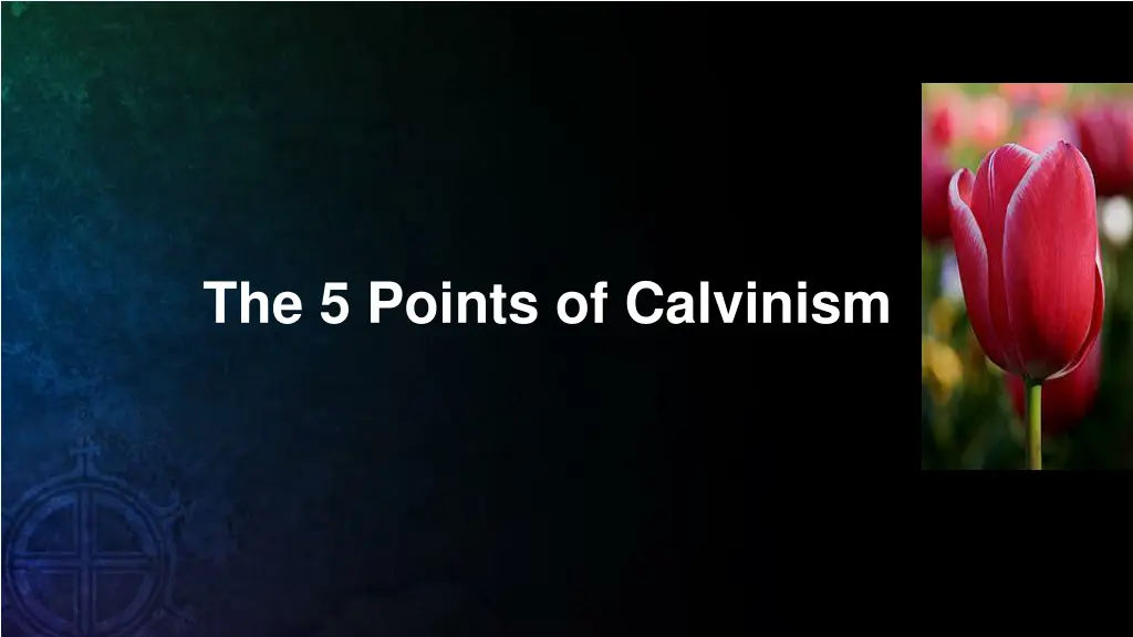 the 5 points of calvinism